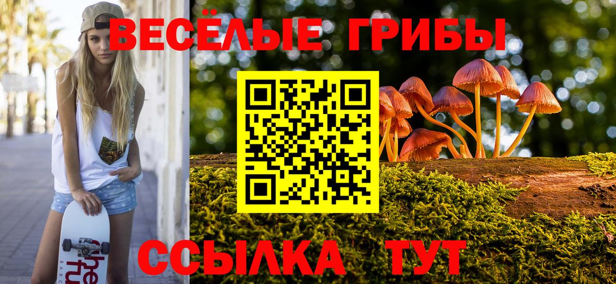 Пугачёв  Галлюциногенные грибы Cubensis  Вход с VPN 
